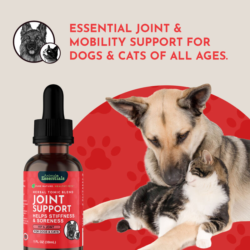 Animal Essentials Joint Support Dog & Cat Supplement, 1-oz image number null