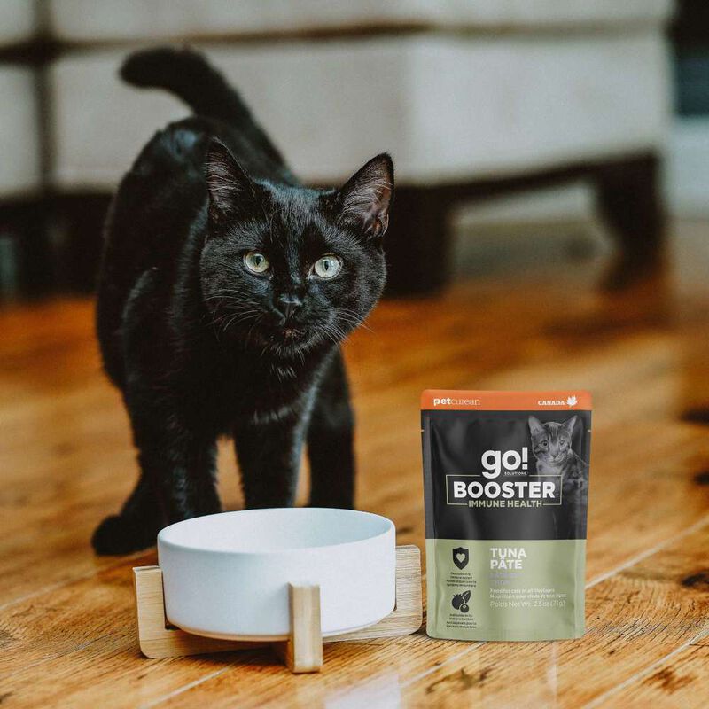 Go! Solutions Booster Wet Cat Food Topper, Immune Health, Tuna Pate, 2.5-oz image number null