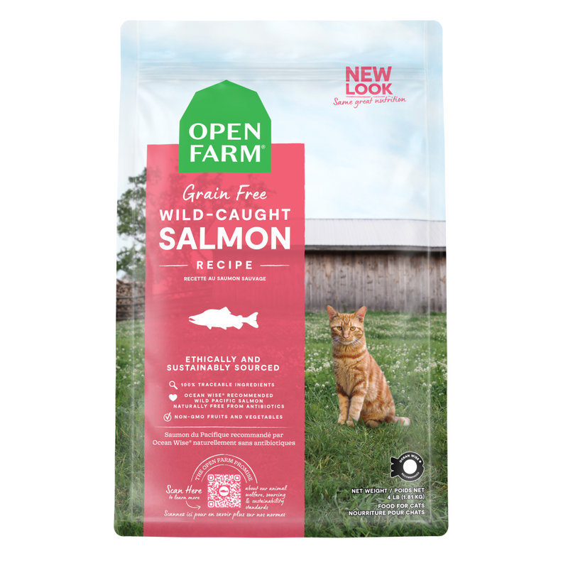 Mud bay on sale cat food