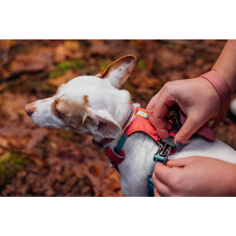 Ruffwear Hi & Light Lightweight Dog Harness, Salmon Pink image number null