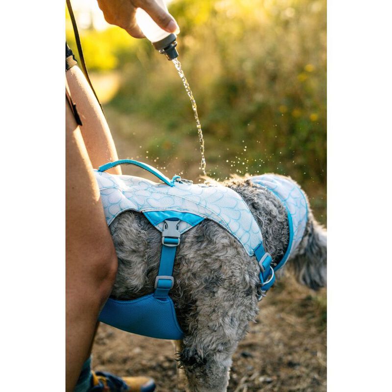 Ruffwear Swamp Cooler Dog Cooling Harness, Biolumin Blue image number null