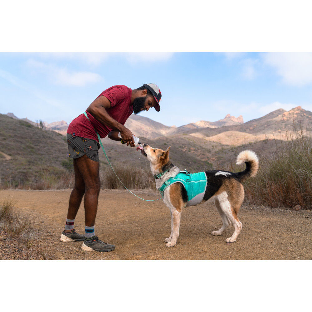 Mud Bay Buy Ruffwear Hi Light Lightweight Dog Collar Sage