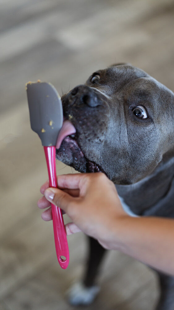 Messy mutts silicone food mat clearance