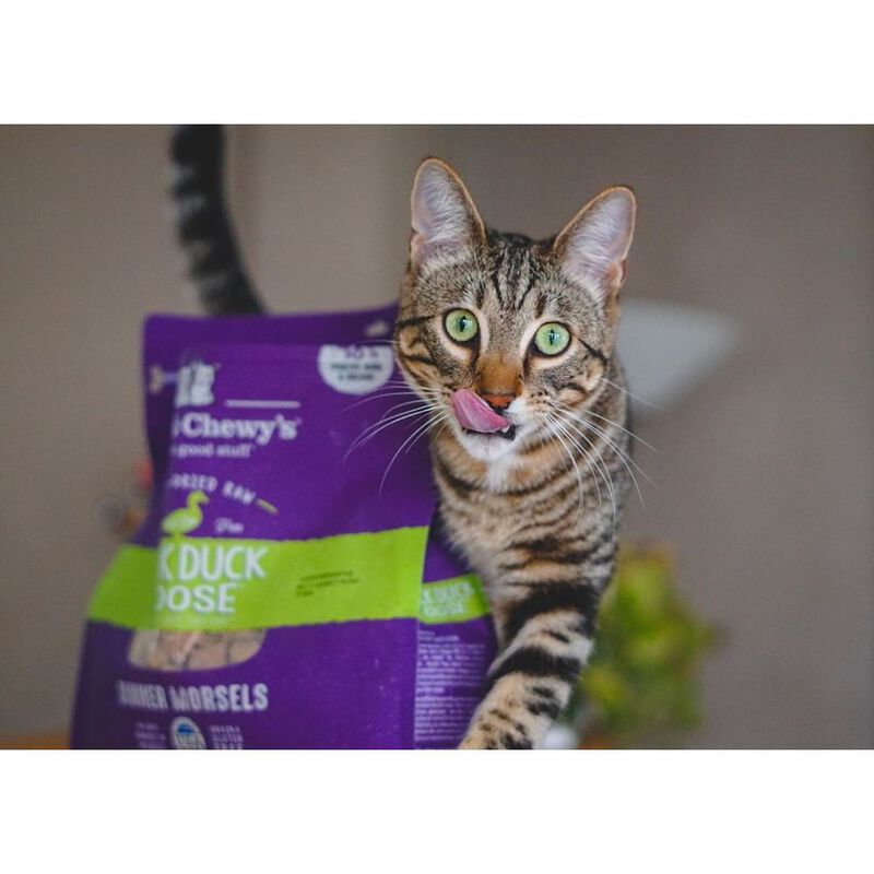 Stella & Chewy's Dinner Morsels Raw Freeze-Dried Cat Food, Duck Duck Goose image number null