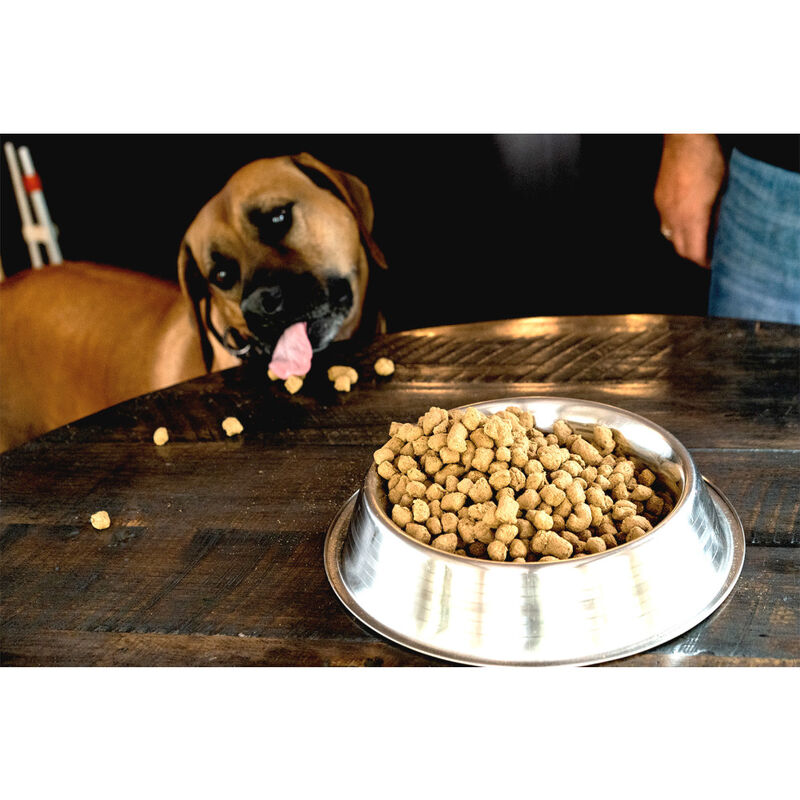 Boss Dog Raw Freeze-Dried Dog Food, Beef, 12-oz image number null