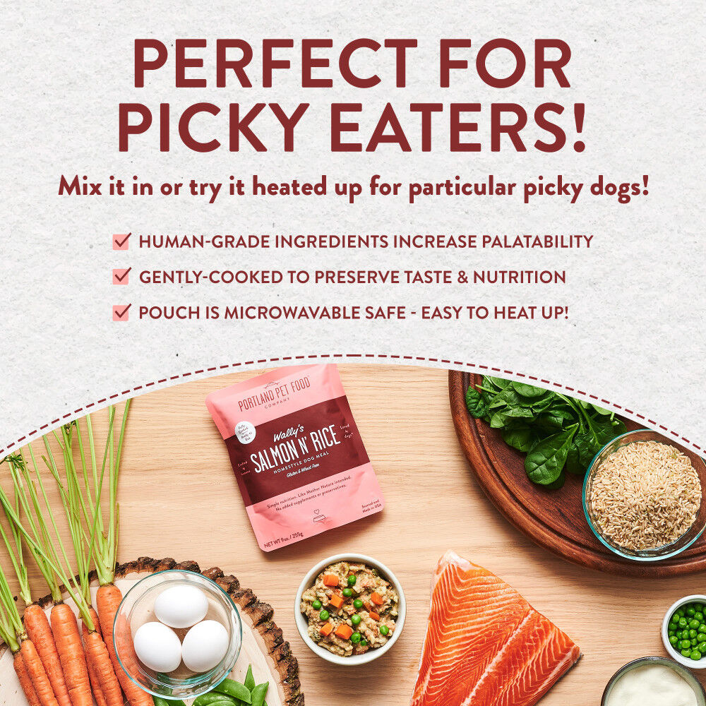 Wet dog food sales for picky eaters
