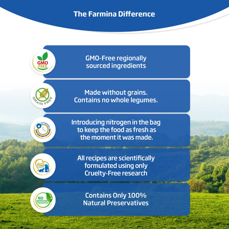 Farmina N&D Quinoa Dry Dog Food, Digestion, Lamb image number null