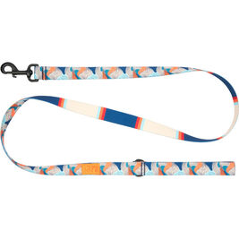 RC Pets Eco Dog Leash, Riptide, 1-in x 5-ft