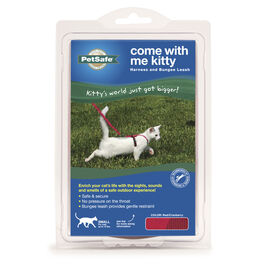 PetSafe Come With Me Kitty Harness & Bungee Cat Leash, Red/Black