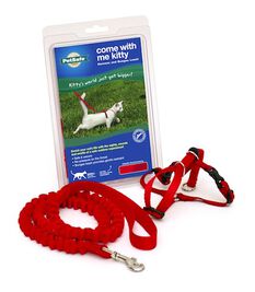 PetSafe Come With Me Kitty Harness & Bungee Cat Leash, Red/Black