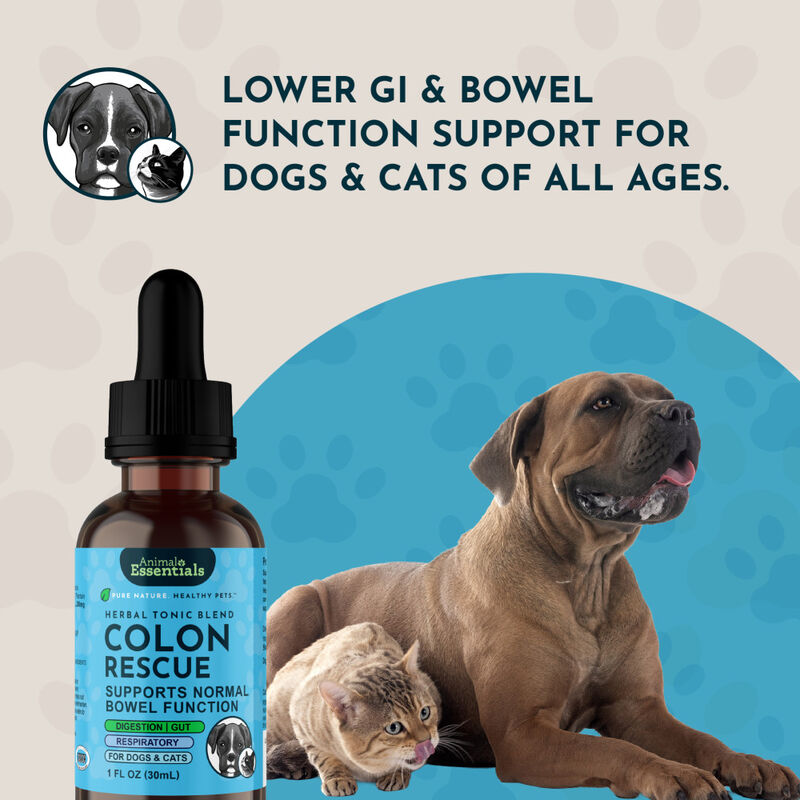 Animal Essentials Colon Rescue Herbal GI Support Dog & Cat Supplement, Liquid, 1-oz image number null