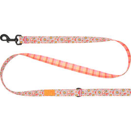 RC Pets Eco Dog Leash, Daisy Joy, 1-in x 5-ft