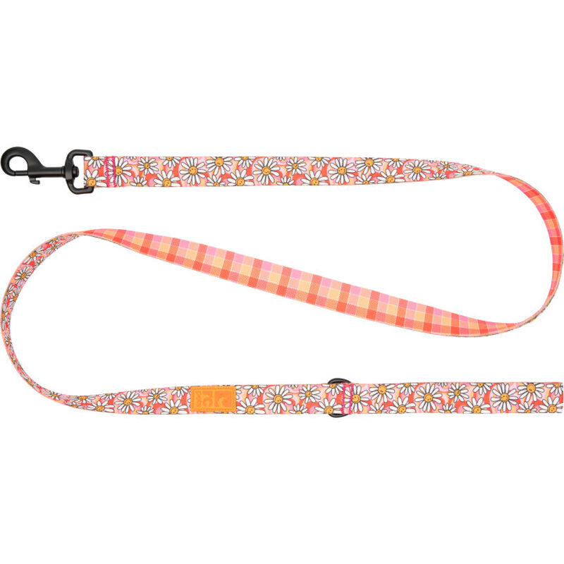 RC Pets Eco Dog Leash, Daisy Joy, 1-in x 5-ft image number null
