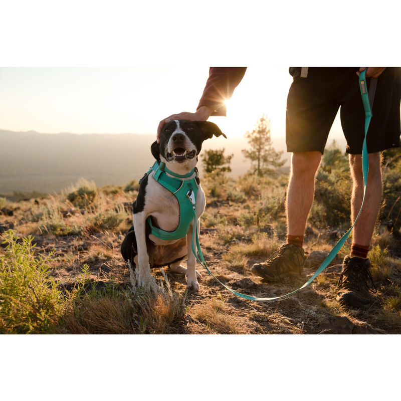 Ruffwear Front Range Dog Harness, Aurora Teal image number null