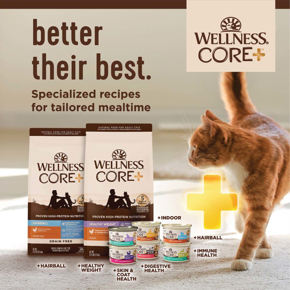 Mud Bay Buy Wellness CORE Grain Free Dry Cat Food Indoor Chicken Turkey Chicken Meal 5 lb for USD 23.99 MudBay