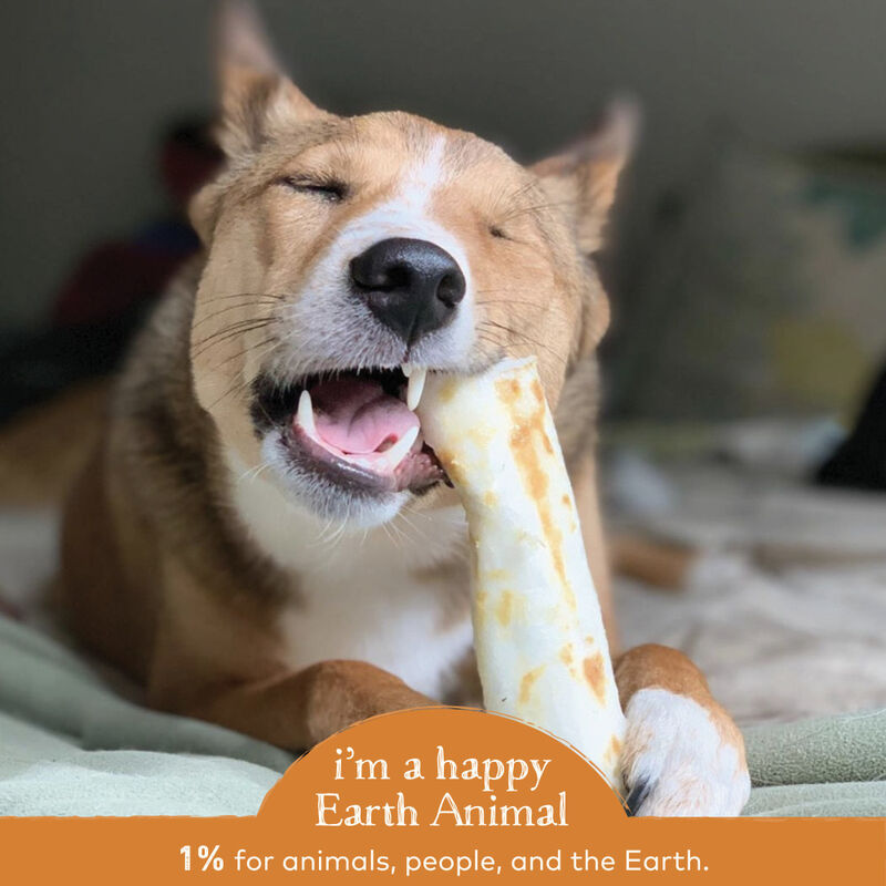 Earth Animal No-Hide Chicken Chew Dog Treats, 7-in
