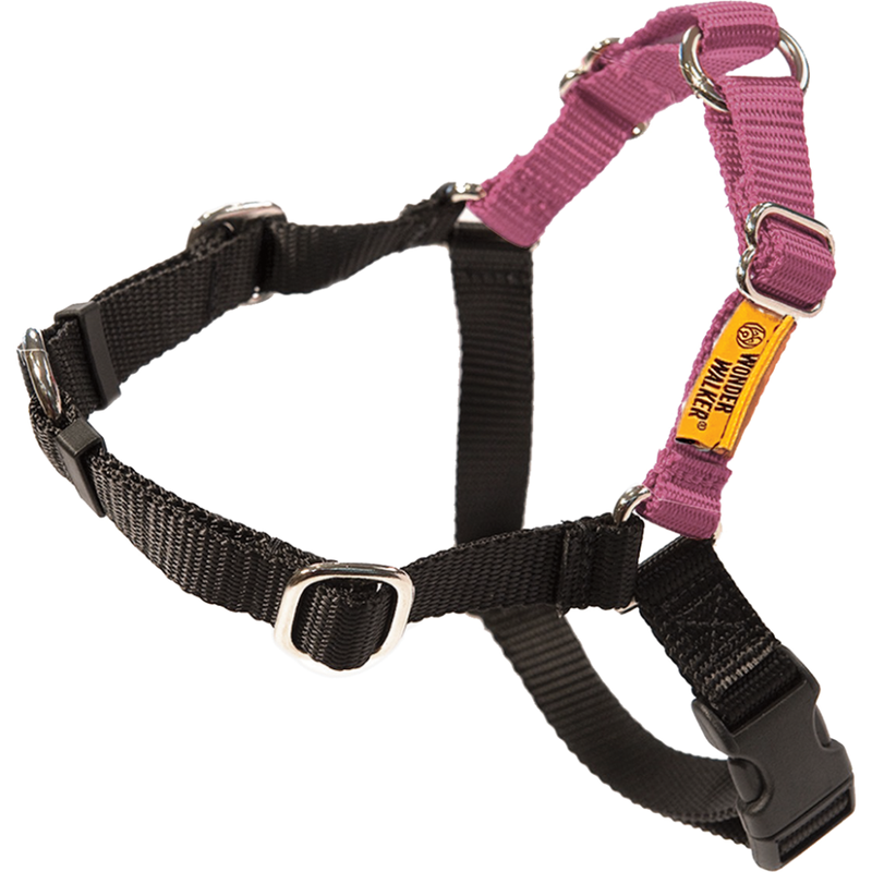 Mud Bay Buy Dolan s Dog Doodads Wonder Walker Body Halter Dog Harness Rose Medium 3 4 in for USD 31.99 MudBay