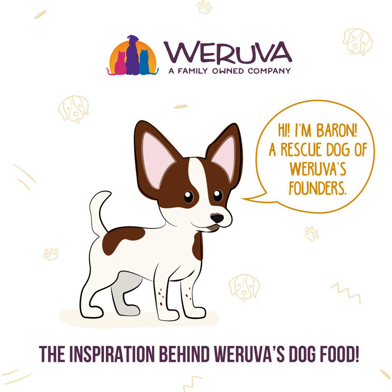 Weruva Classic Canned Dog Food, Cirque De La Mer, Tuna Veggies & Pumpkin Soup, 14-oz image number null