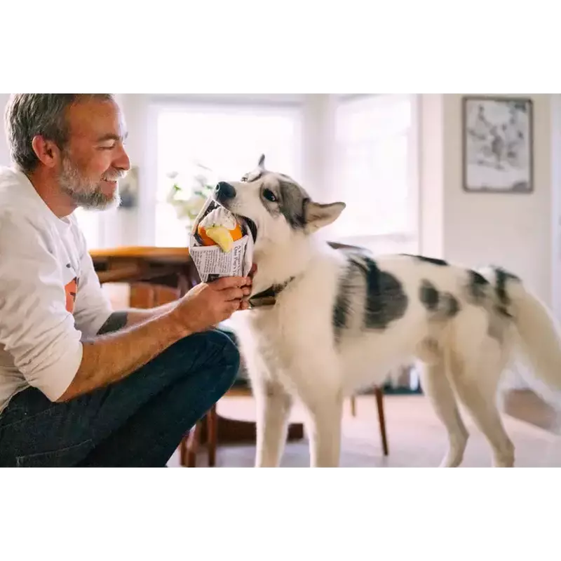 P.L.A.Y. International Classic Chippy Chews Dog Toy image number null