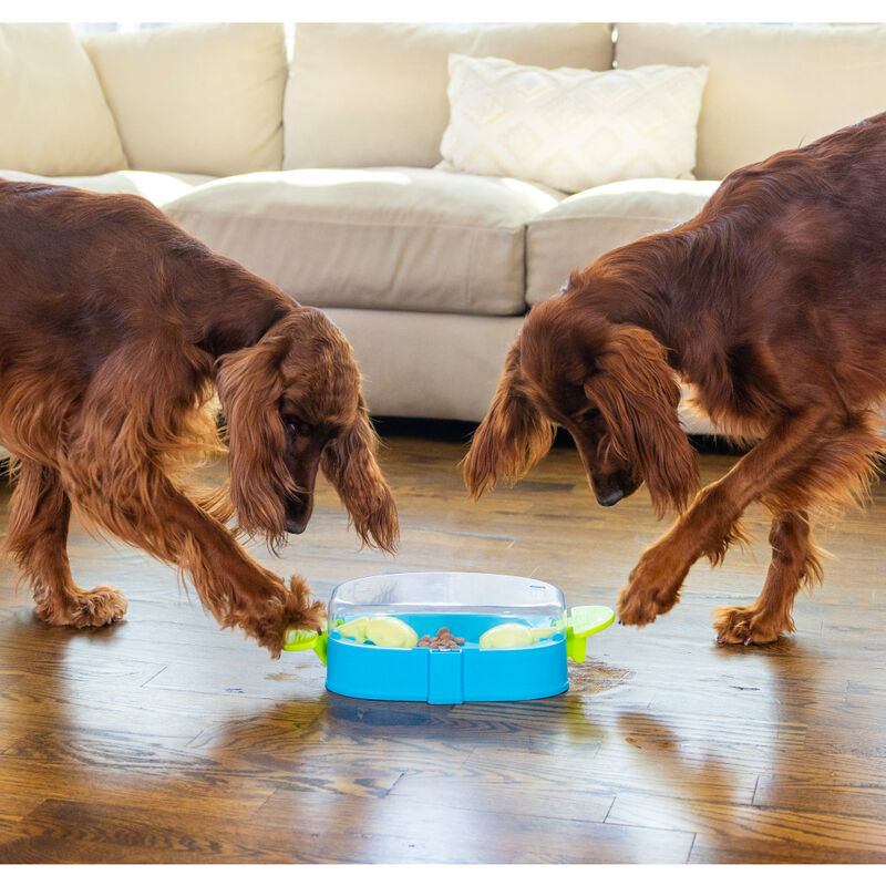 Outward Hound Paw N Play Dog Toy image number null