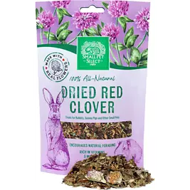 Small Pet Select Dried Red Clover, 2-oz