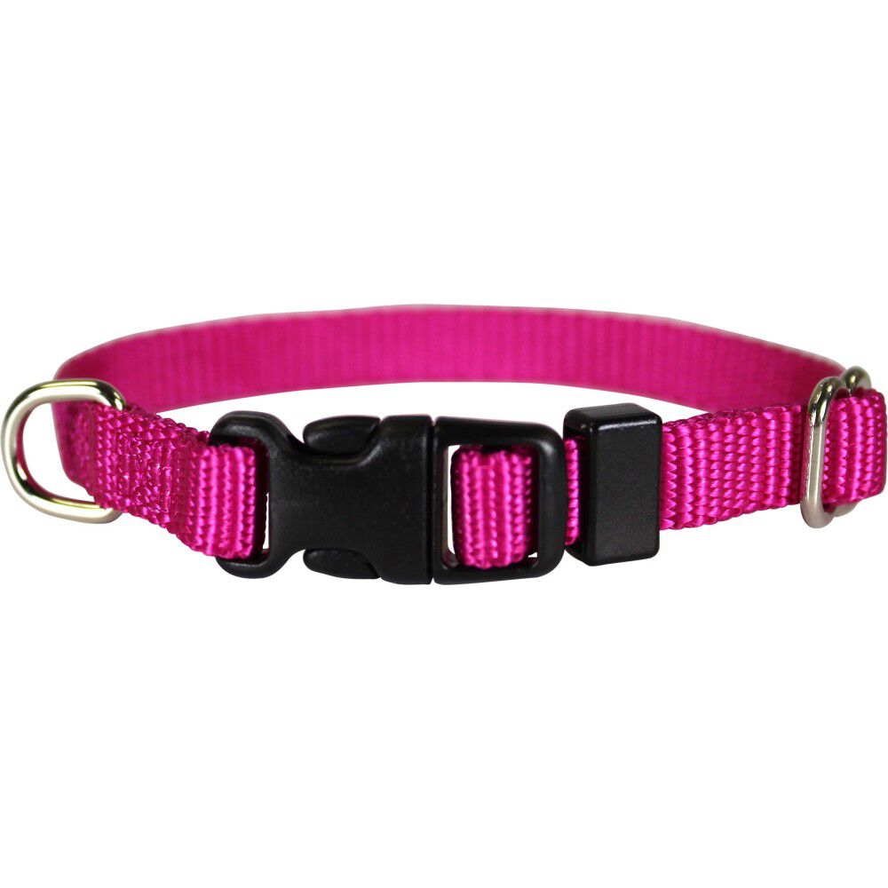 Omnipet dog collars online