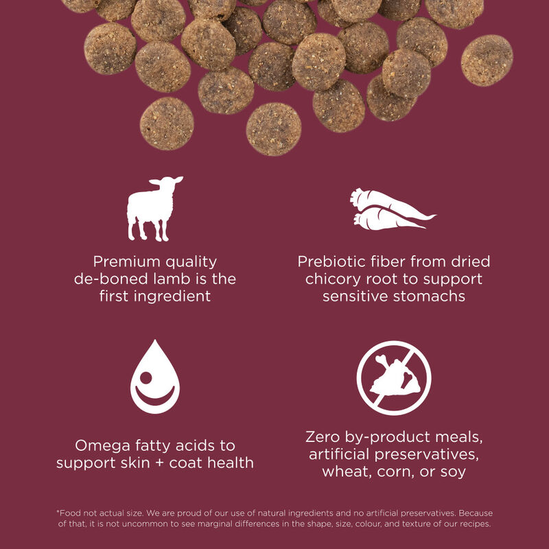 Go! Solutions Sensitivities Limited Ingredient Dry Dog Food, Lamb image number null