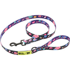 RC Pets Artist Series Dog Leash, Bunny Kitty