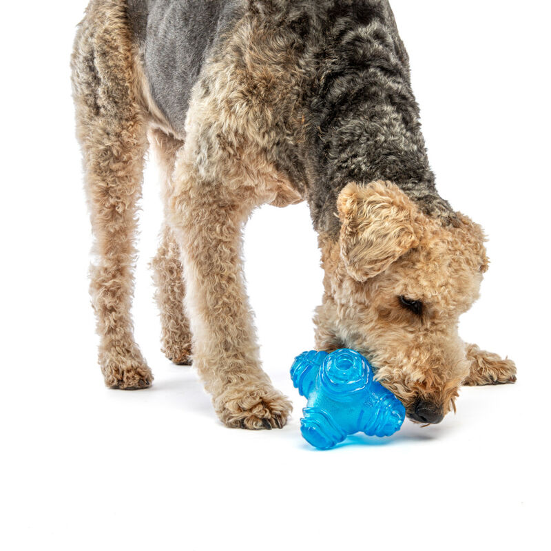 Guru Pet Company Puzzle Jack Dog Toy, Medium image number null