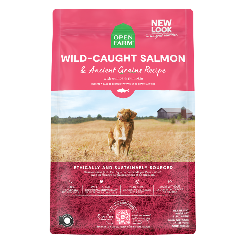 Mudbay sales dog food