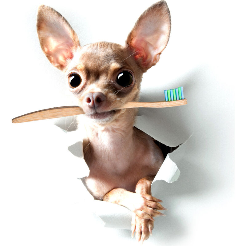 Woobamboo Dog & Cat Toothbrush, Small image number null