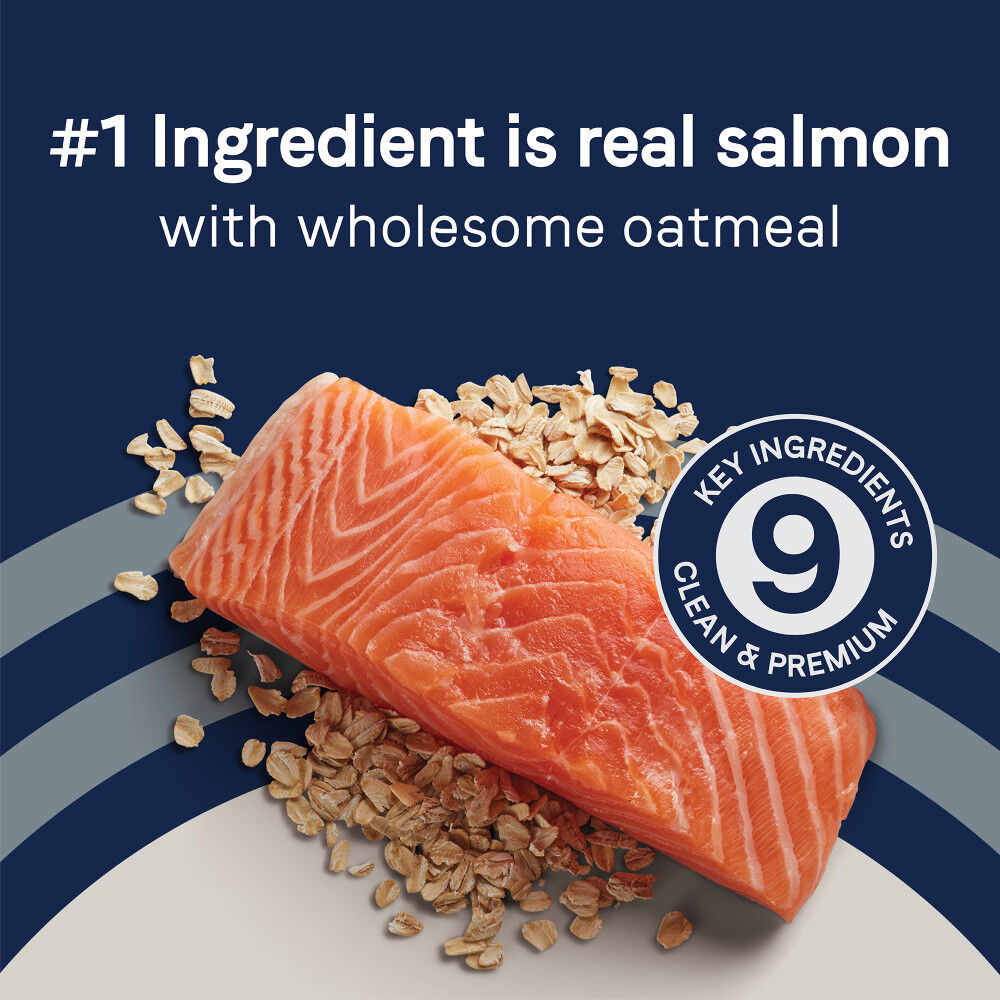 Canidae salmon dry dog food best sale