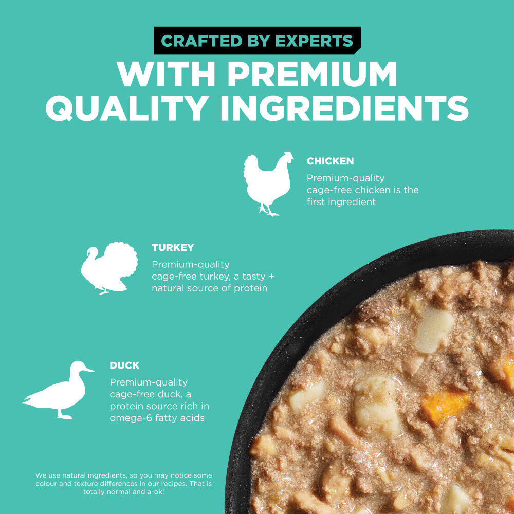 Mud Bay Buy Go Solutions Carnivore Grain Free Wet Dog Food