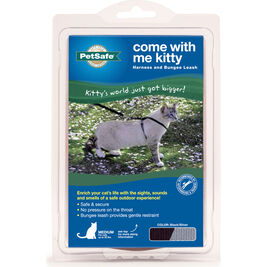 PetSafe Come With Me Kitty Harness & Bungee Cat Leash, Black/Silver