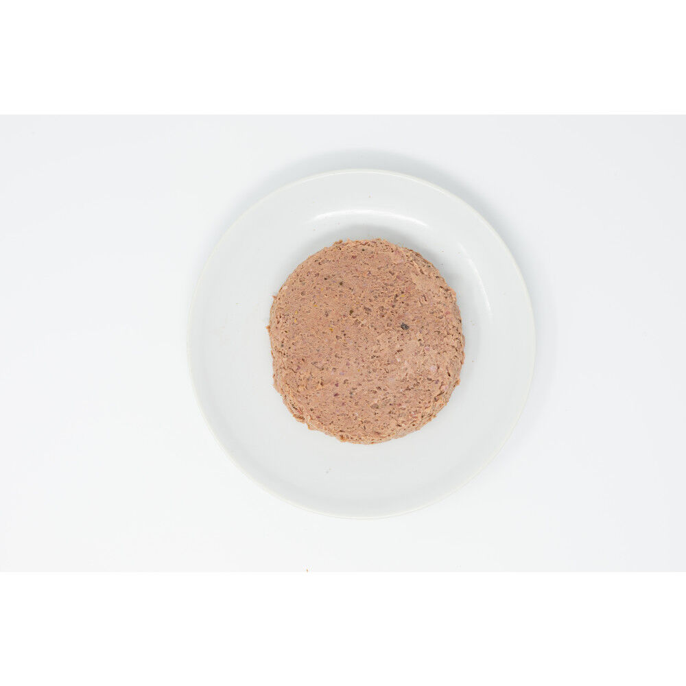 Stella online raw food