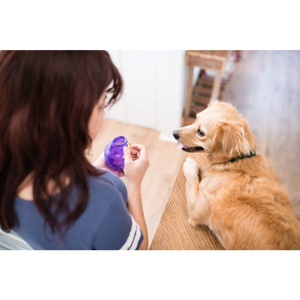Planet on sale dog toys