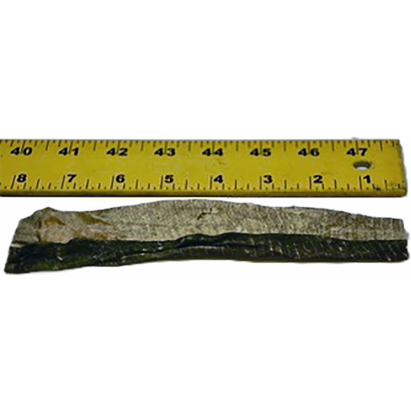 Hundred Ton Fishery Dog Treat, Cod Skin Flattie image number null
