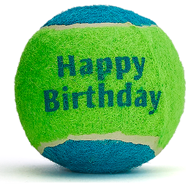Mud Bay Happy Birthday Tennis Ball Dog Toy, Assorted Colors