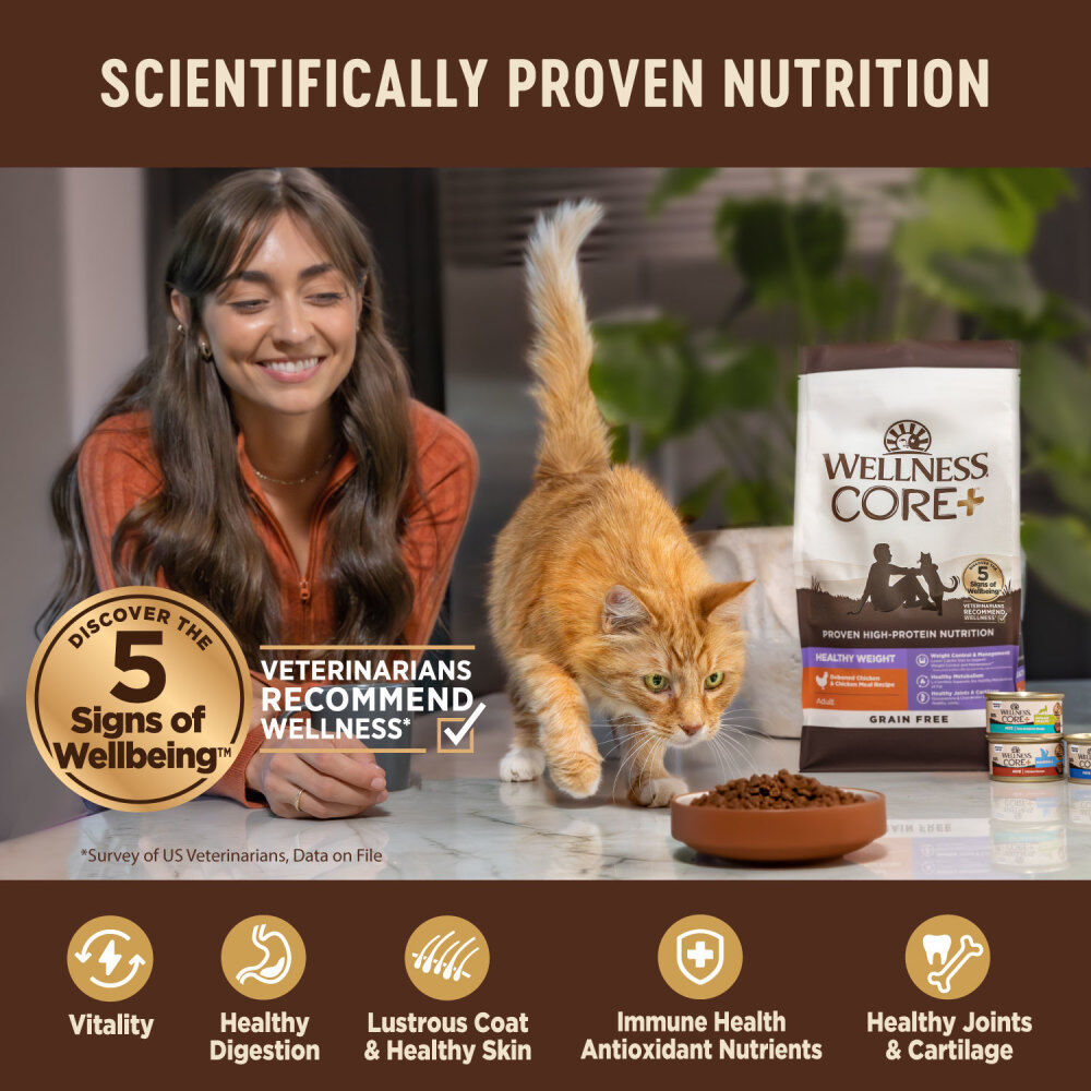 Wellness core 6 dog food shop