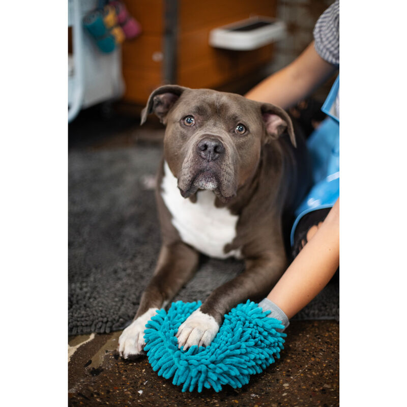 Messy Mutts Microfiber Pet Grooming Mitt, Blue image number null