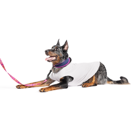 Gold Paw Sun Shield Dog Tee, Pebble Grey