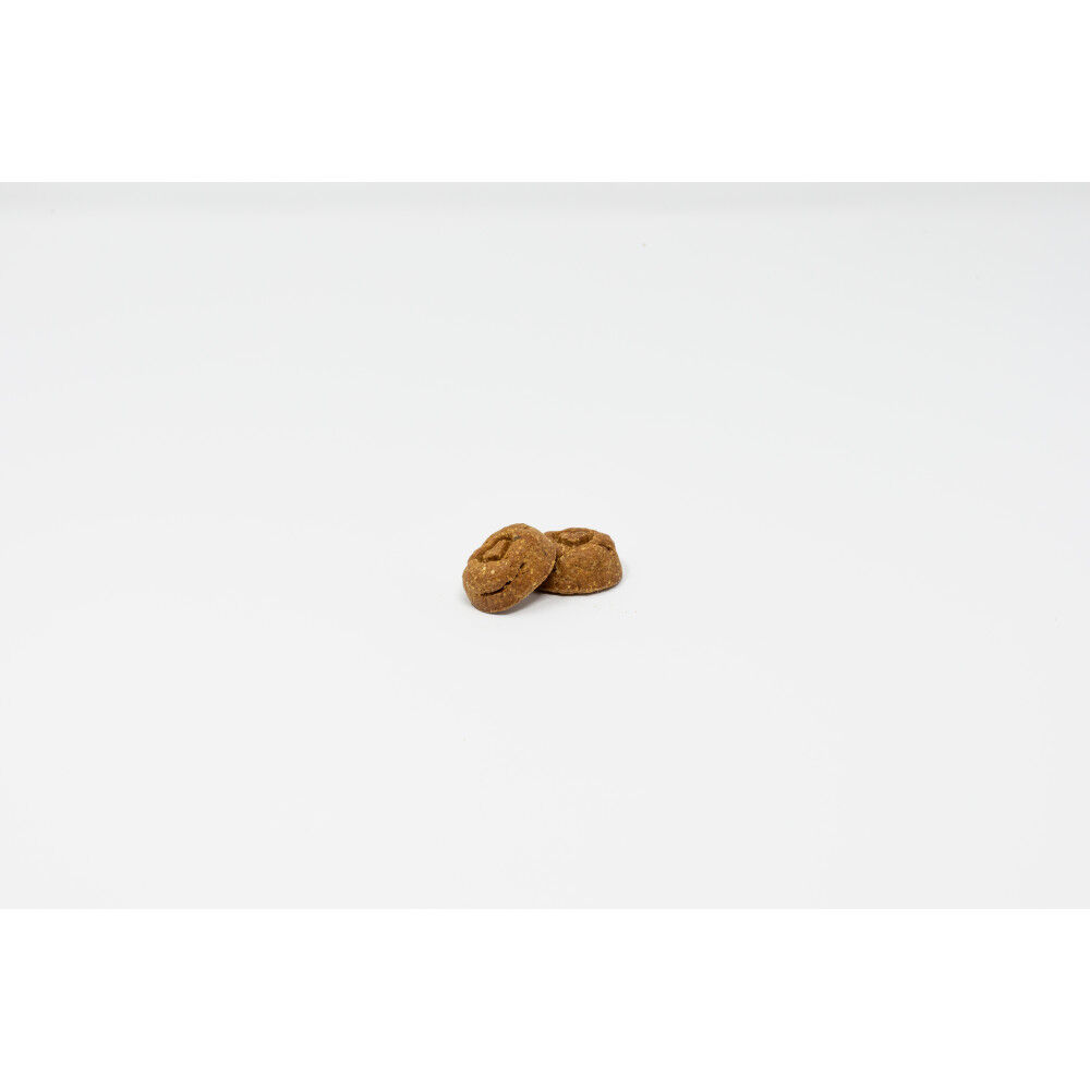 Stella & chewy's raw 2025 coated biscuits