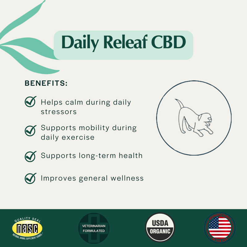 Pet Releaf Hemp Oil Daily Releaf Dog Supplement, 200 mg, 1-oz image number null