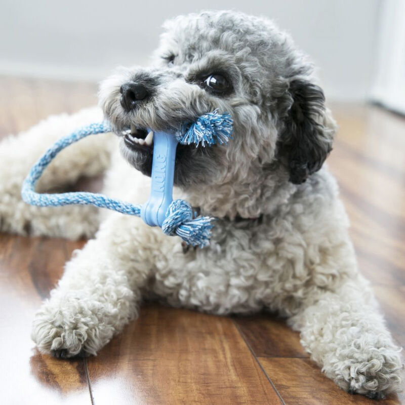 Kong Wobbler Small - Bones Pet Stores