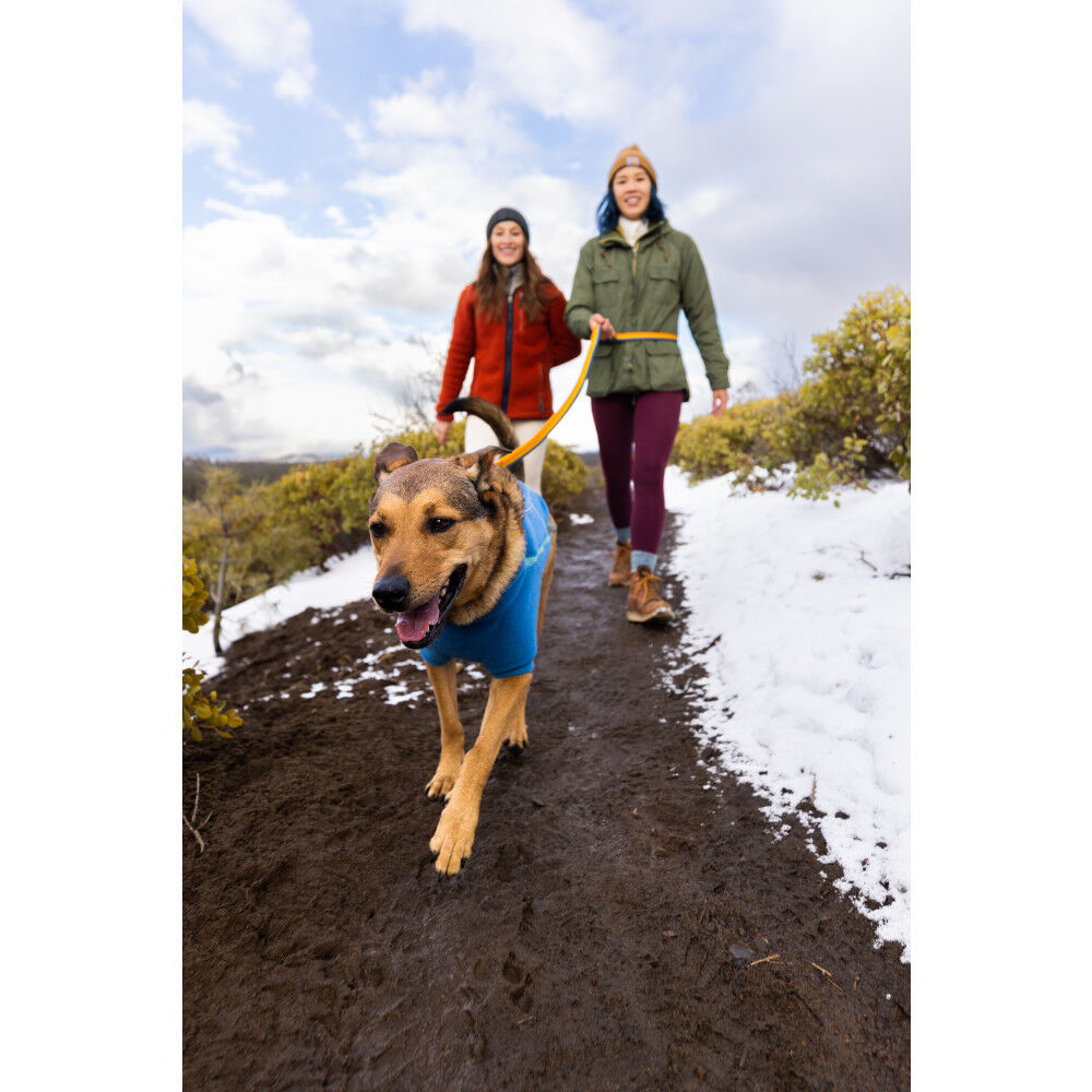 Ruffwear roamer on sale