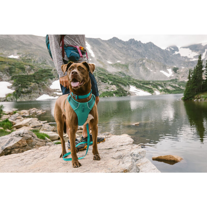 Ruffwear Front Range Dog Harness, Aurora Teal image number null
