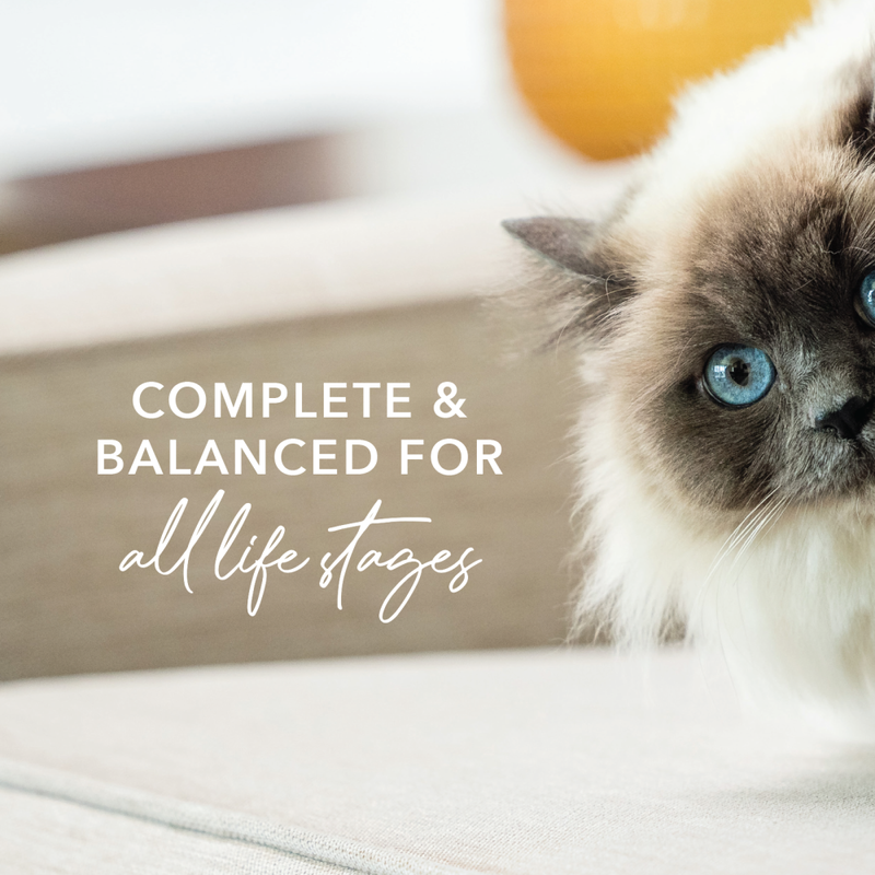 Feline Natural Canned Cat Food, Chicken & Venison, 6-oz image number null