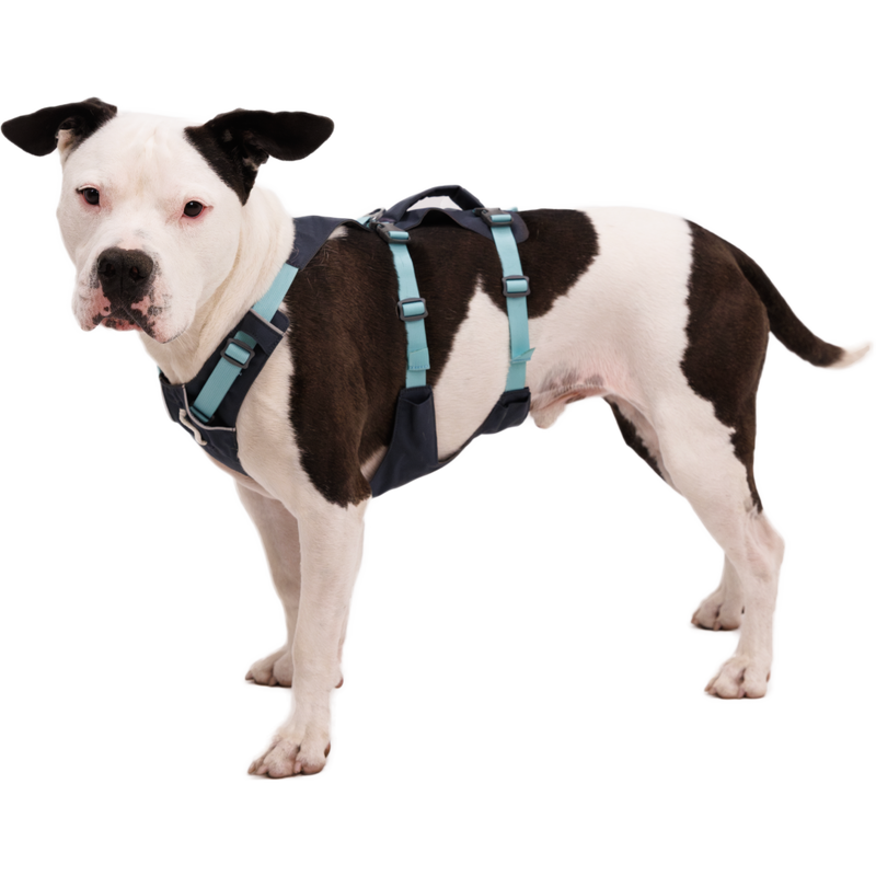 Ruffwear medium harness cheap