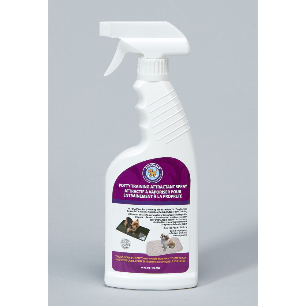 Dog potty top attractant
