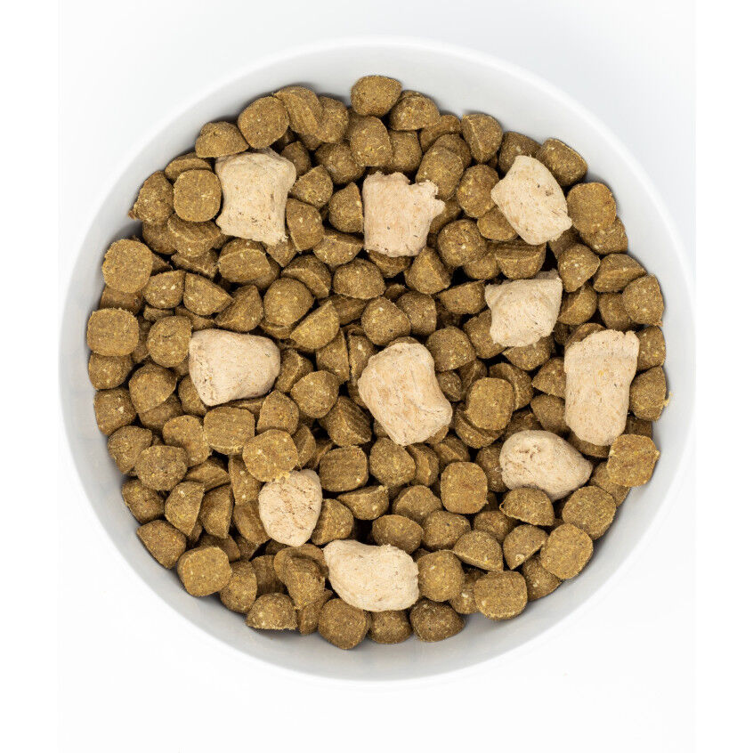 Stella & chewy's raw cheap blend cage free recipe